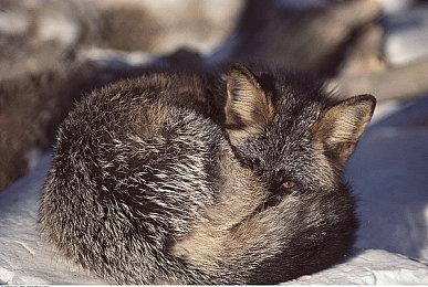 最强网球游戏《上旋高手2K25》发布游戏性介绍